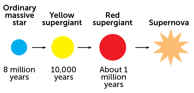 a diagram showing the lifecycle of Betelgeuse