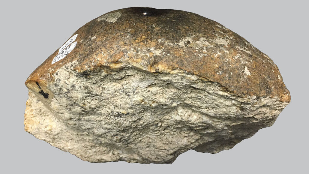 stone with microscopic bone residue