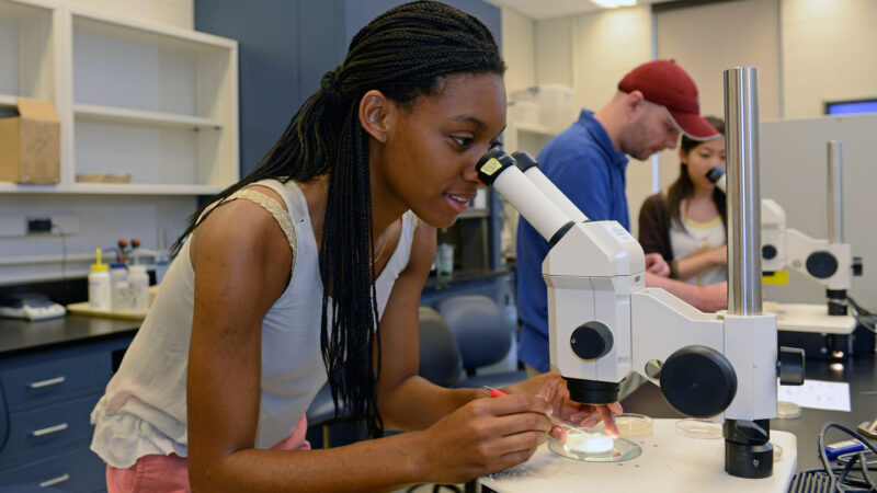 A Black student looking into a microscope