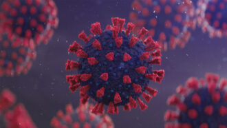 coronavirus computer generated image