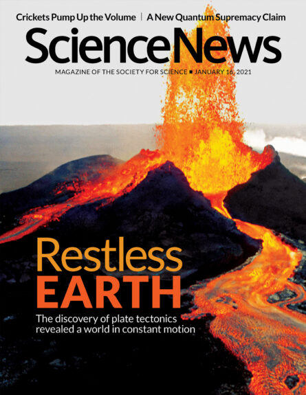 cover of January 16, 2021 issue