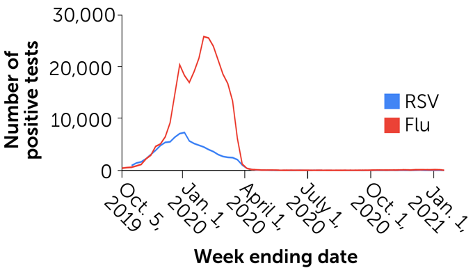 graph of positive U.S. flu and RSV tests, October 2019 to January 2021