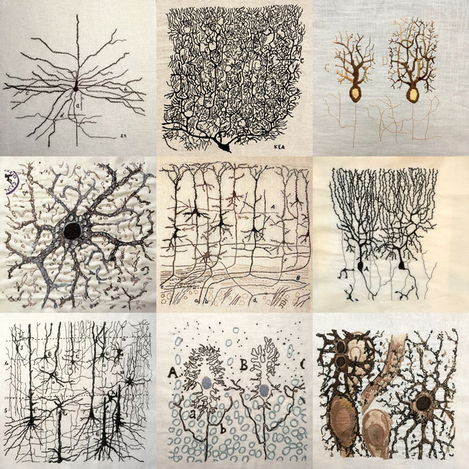 9 borduurmotieven van Cajal-tekeningen