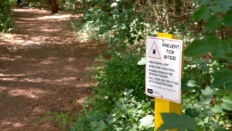 A sign next to a hiking path in the woods
