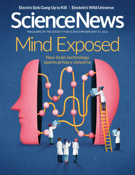 cover of the February 13, 2021 issue