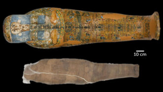 ancient Egyptian mummy sarcophagus and mud shell