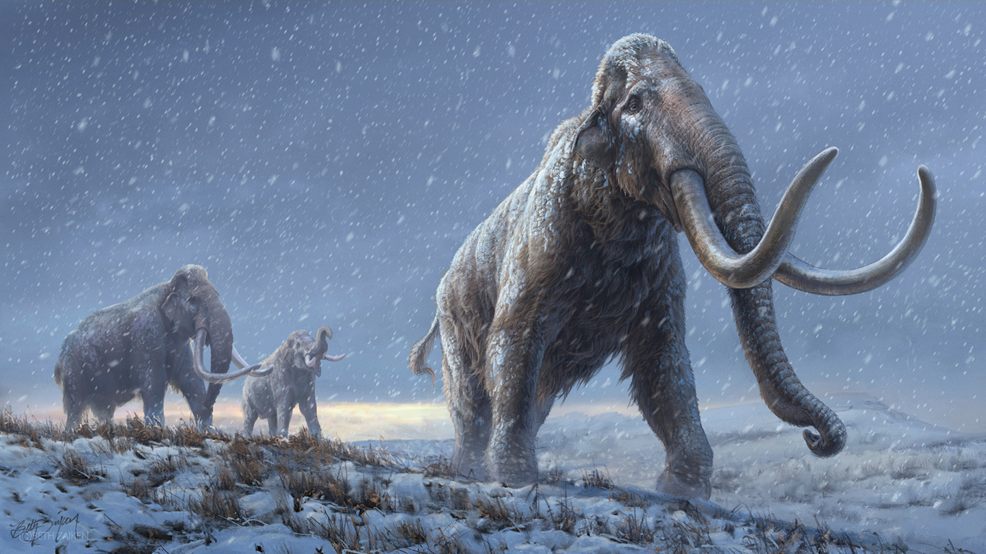 The oldest animal DNA ever recovered reveals mammoths' evolution