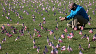 A man wearing a mask crouches down on a lawn covered with many small American flags on it