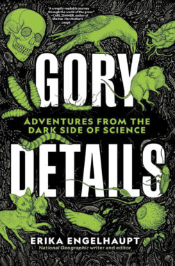 ‚Gory Details‘ taucht ein in das Morbide, das Tabu – und unseren Verstand ‚Gory Details‘ taucht ein in das Morbide, das Tabu – und unseren Verstand