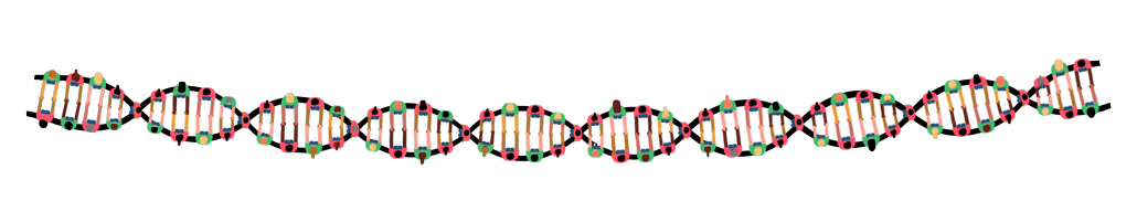 illustration of a strand of DNA