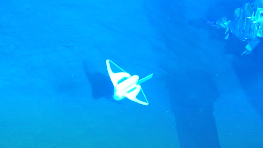 robot che nuota nel Mar Cinese Meridionale