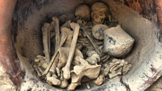 bones of a man and woman with artifacts in a bronze age grave