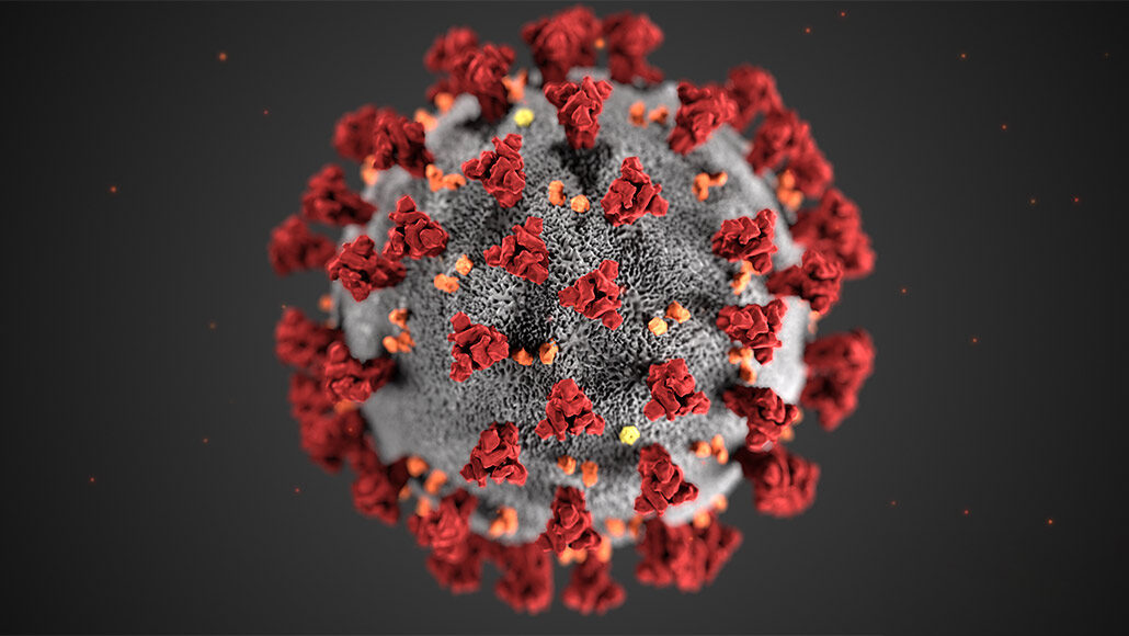 image of a Sars-CoV-2 particle