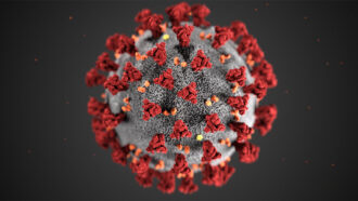 image of a Sars-CoV-2 particle