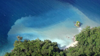 beach in the Andaman Island