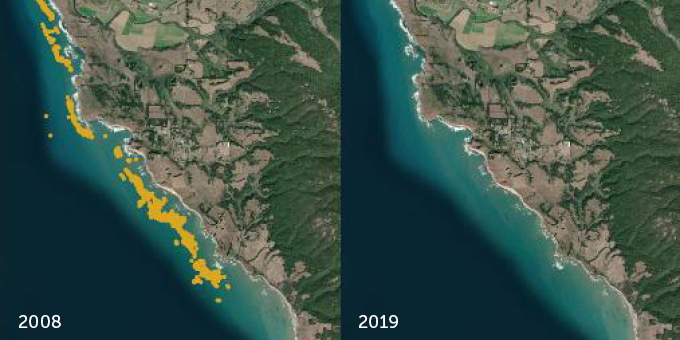 Imágenes de satélite de la costa de California en 2008 y 2019
