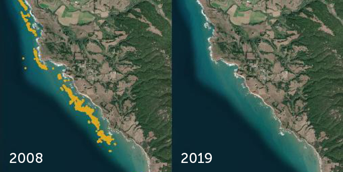 satellite images of the California coast in 2008 and 2019