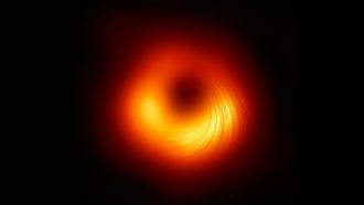 M87's black hole with polarization of light waves