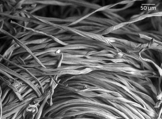 Imagen microscópica de una tela de franela de algodón