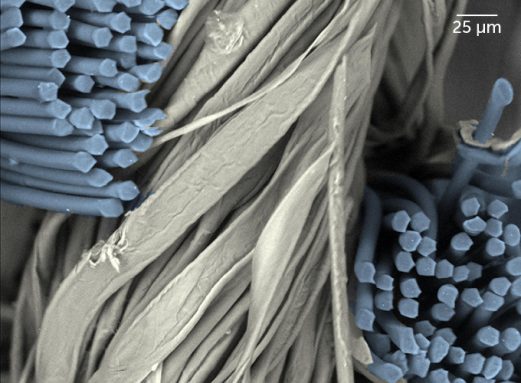 Imagen de microscopio de una mezcla de poliéster y algodón