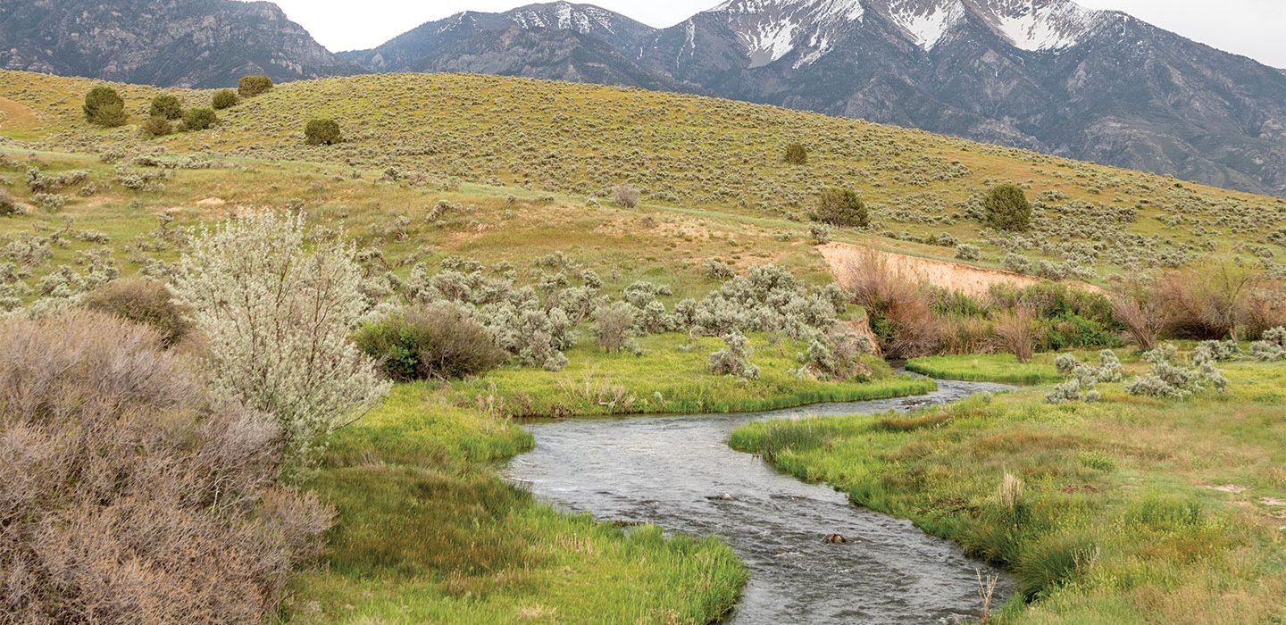 a stream with mountains in the background