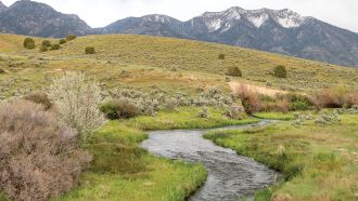 a stream with mountains in the background