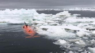 autonomous underwater vehicle Ran amid floating ice