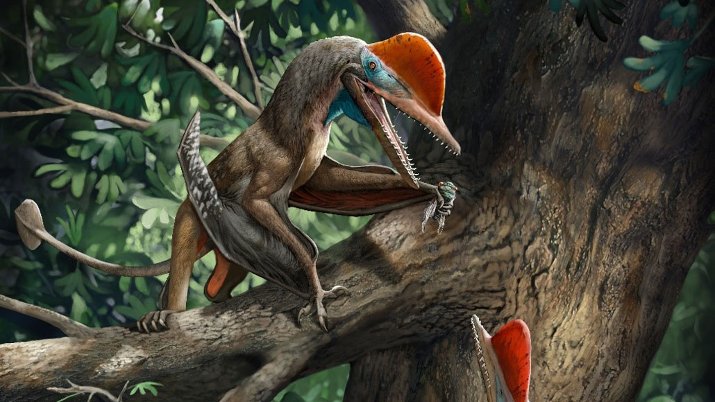 illuistrazione di uno pterosauro con i pollici opponibili