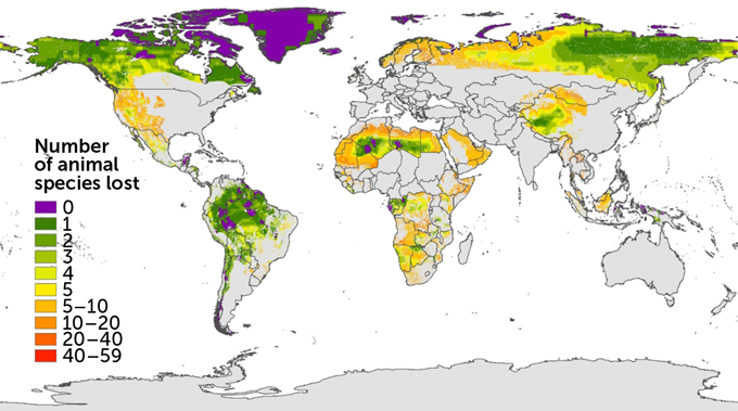 world map showing number of lost animal species