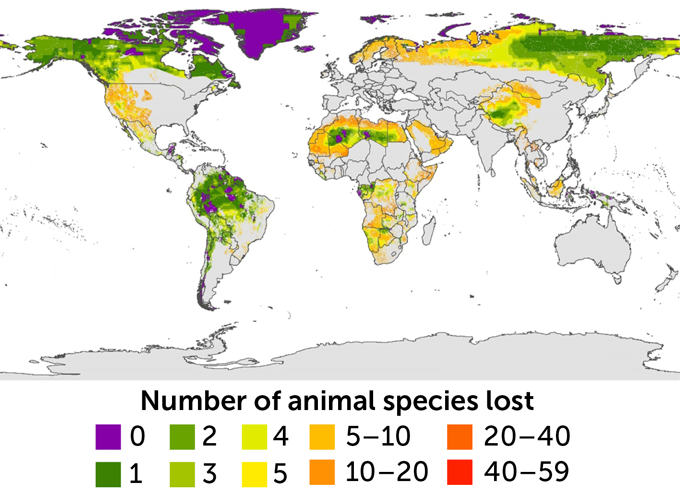 world map showing number of lost animal species