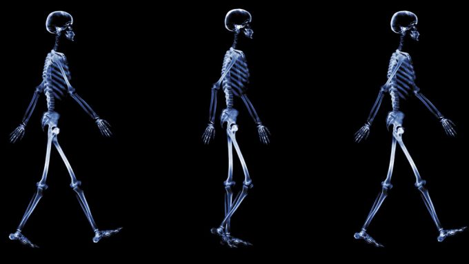 Series of walking skeletons