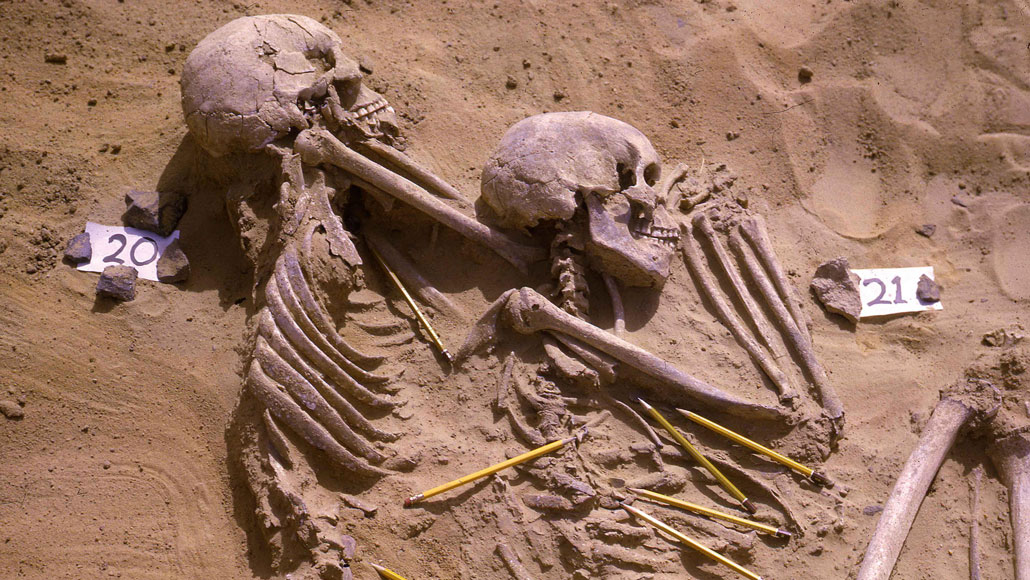 photo of two skeletons on their sides in the fetal position, half immersed in the soil