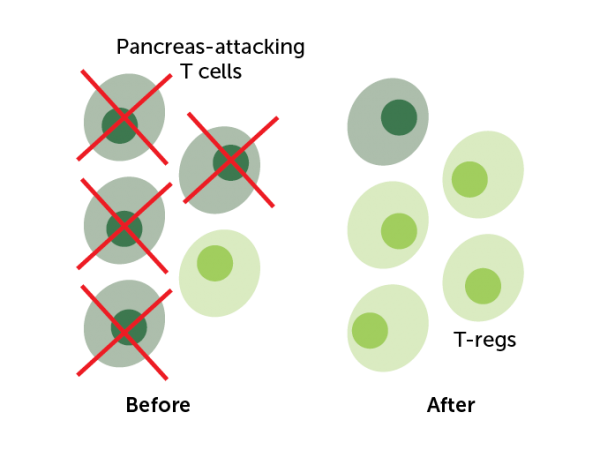 kezelése cukorbetegség vaccine bcg)