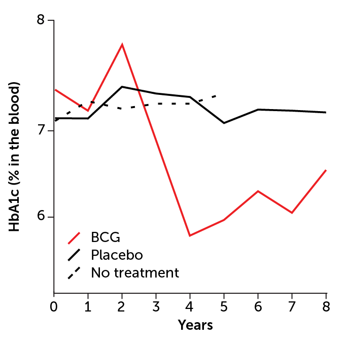 graph showing & HbA1c in the blood for groups receiving BCG, placebo or no treatment; the BCG line takes a steep drop after year three