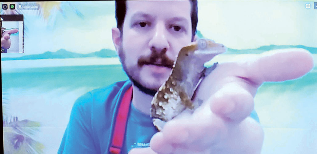 a photo of a man holding a crested gecko up to the viewer