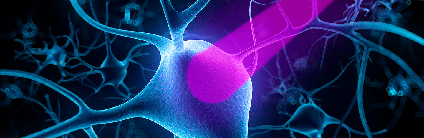 illustration of nerve cells