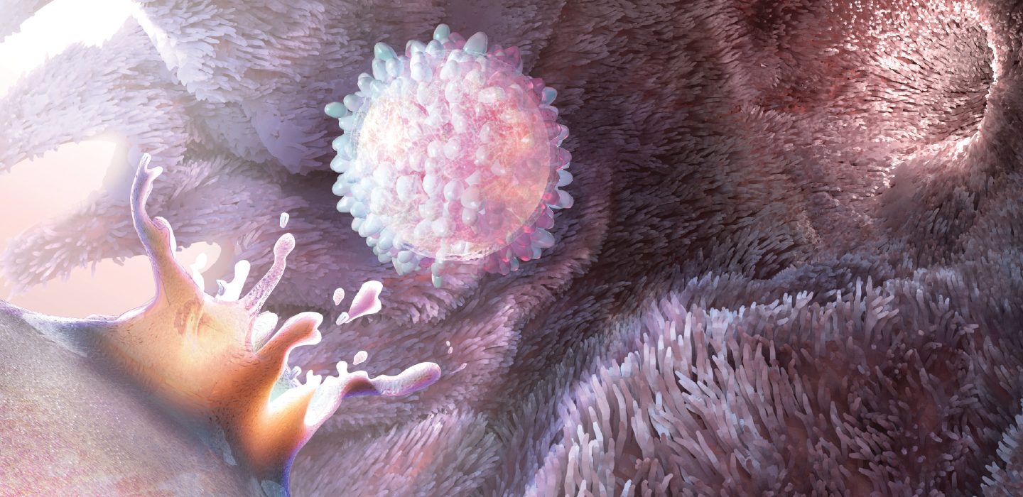 illustration of an egg bursting out of an ovary