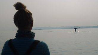 a woman spots a humpback whale tail