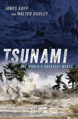 Ein neues Buch verwendet Geschichten von Tsunami-Überlebenden, um tödliche Wellen zu entschlüsseln