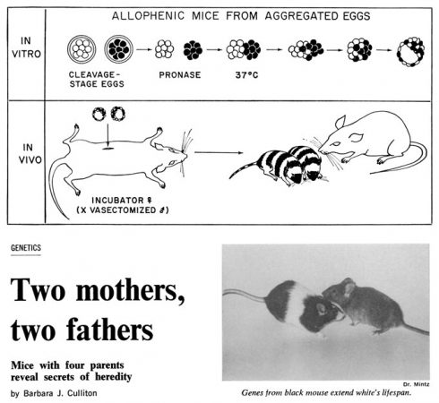 screen shot of Science News article with the headline, "Two mothers, two fathers"