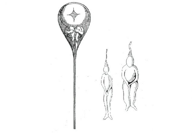 illustration of tiny figures inside an illustration of sperm