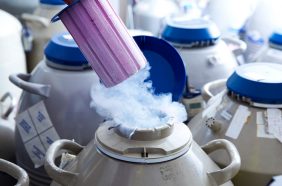 Tube of eggs being lifted out of cryogenic (frozen) storage