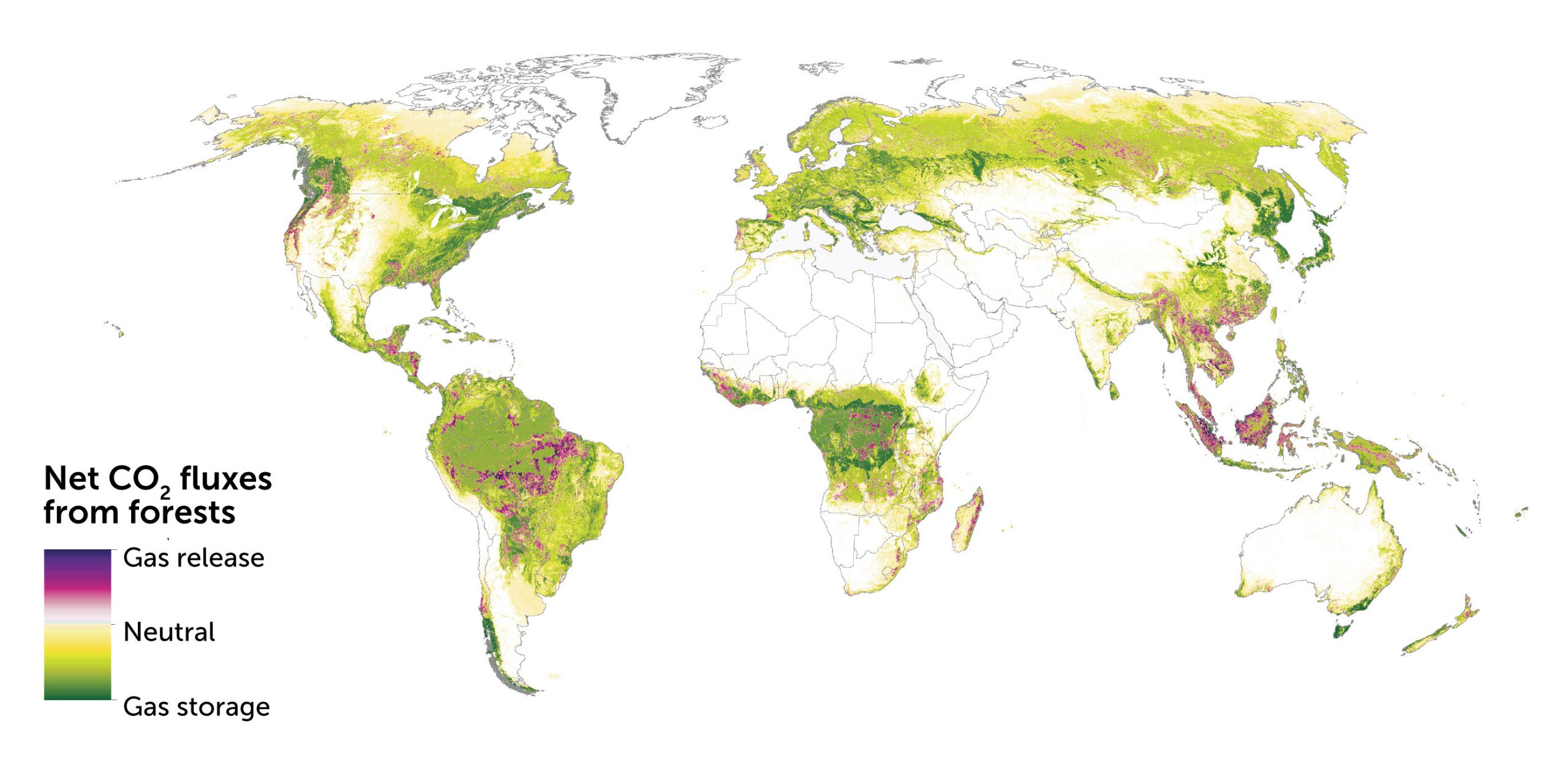 map of the net annual average contribution of carbon dioxide from Earth's forests, 2001–2019