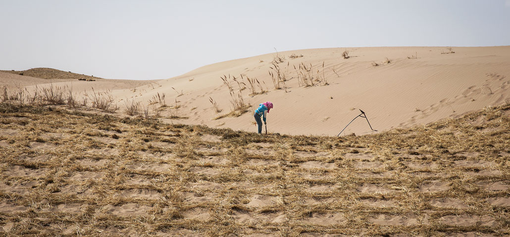 a wide photograph of a desert, with a woman in the center dropping straw