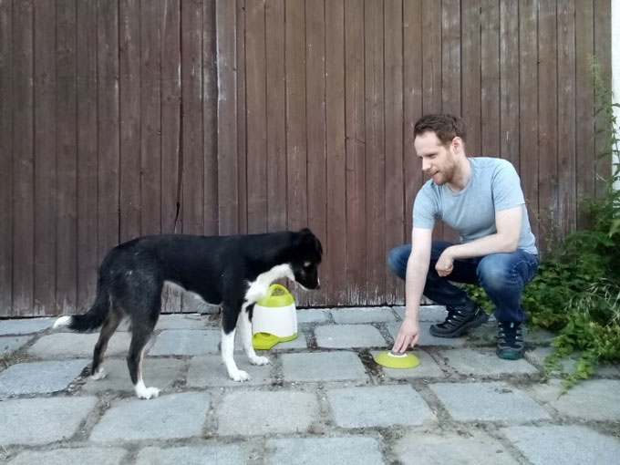 human man giving instructions to a dog