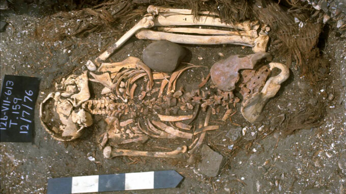 skeleton of an ancient shark attack victim at an excavation site