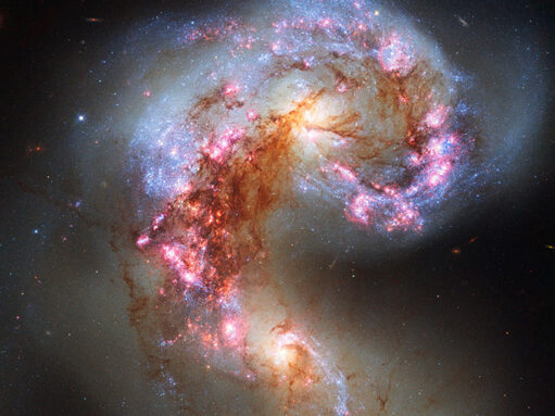 a comma-shaped galaxy shown in false color