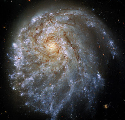 a round, spiral galaxy