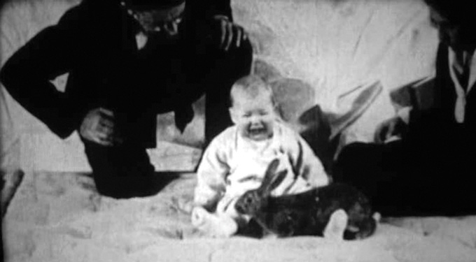 baby Little Albert crying with a rabbit