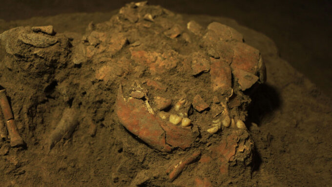 skull bones from an ancient Indonesian woman